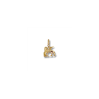Charm Charms in Argento CS0720-AG